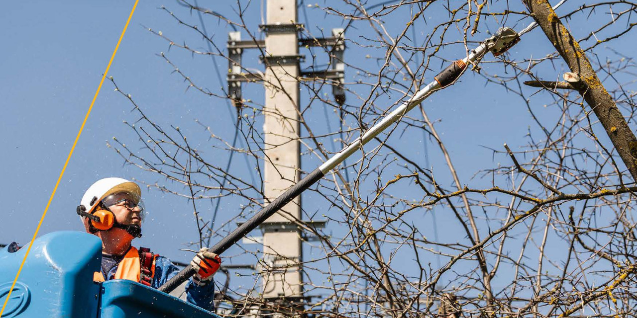 Émász gallyazás a zavartalan áramszolgáltatásért