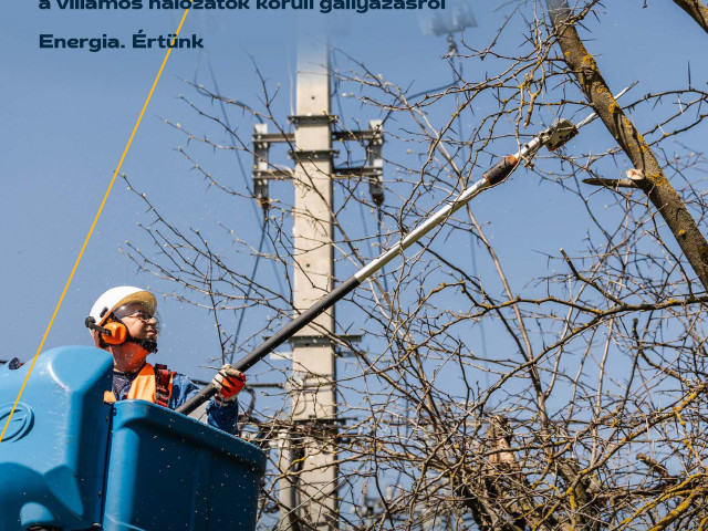 Émász gallyazás a zavartalan áramszolgáltatásért